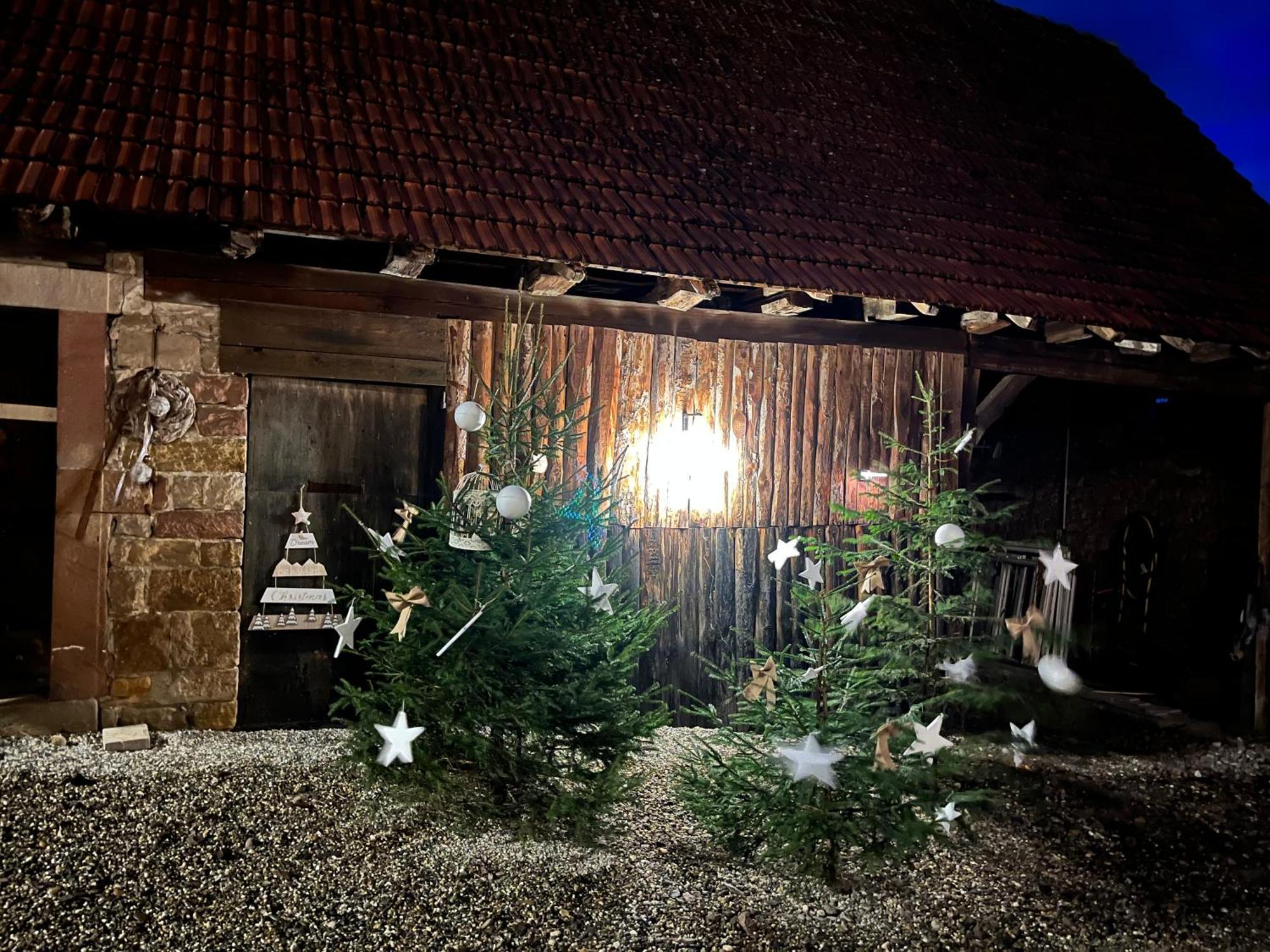 Chambres D'Hotes Chez Linda Stephane Le Passe Compose Preuschdorf Екстериор снимка