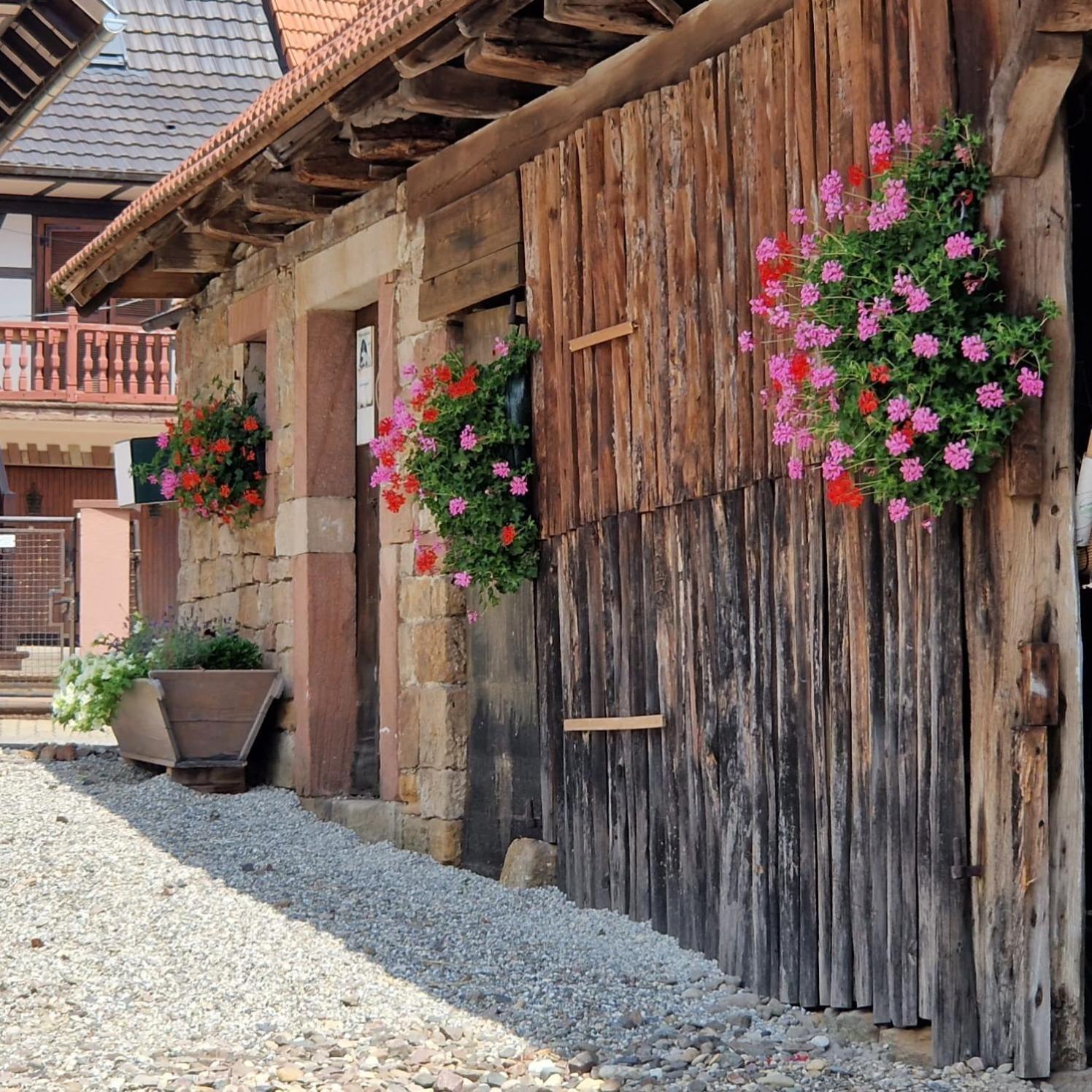 Chambres D'Hotes Chez Linda Stephane Le Passe Compose Preuschdorf Екстериор снимка